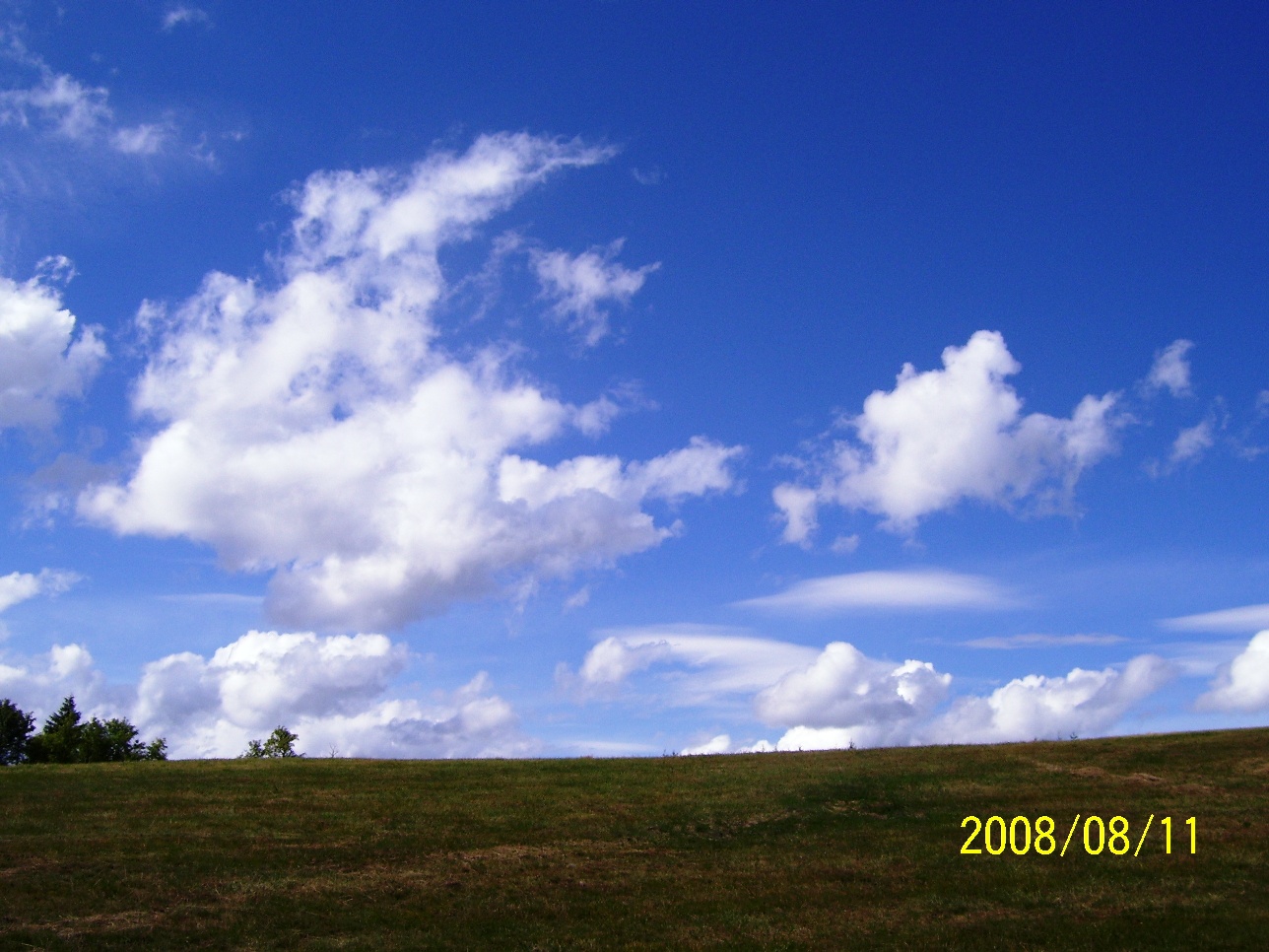 97.jpg
